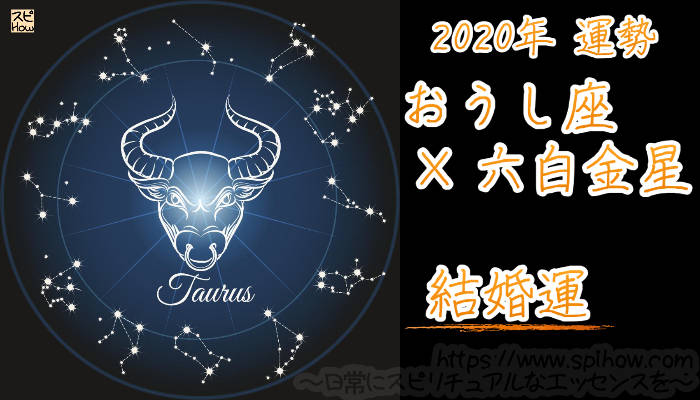 【結婚運】おうし座×六白金星【2020年】のアイキャッチ画像